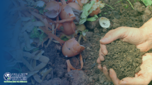 Composting Benefits For Apartments